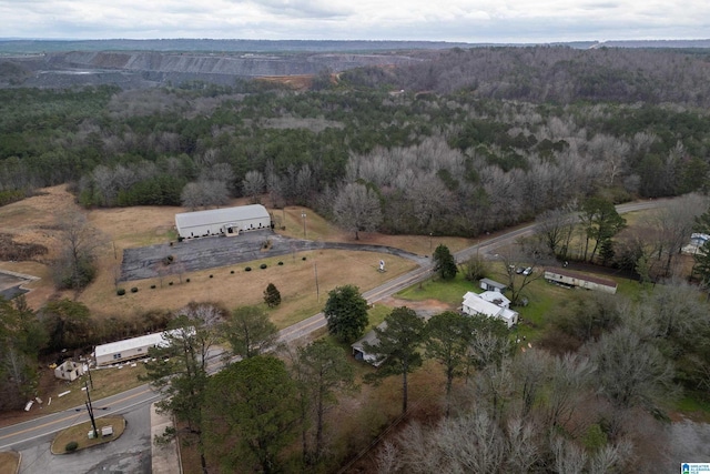 birds eye view of property with a rural view and a forest view