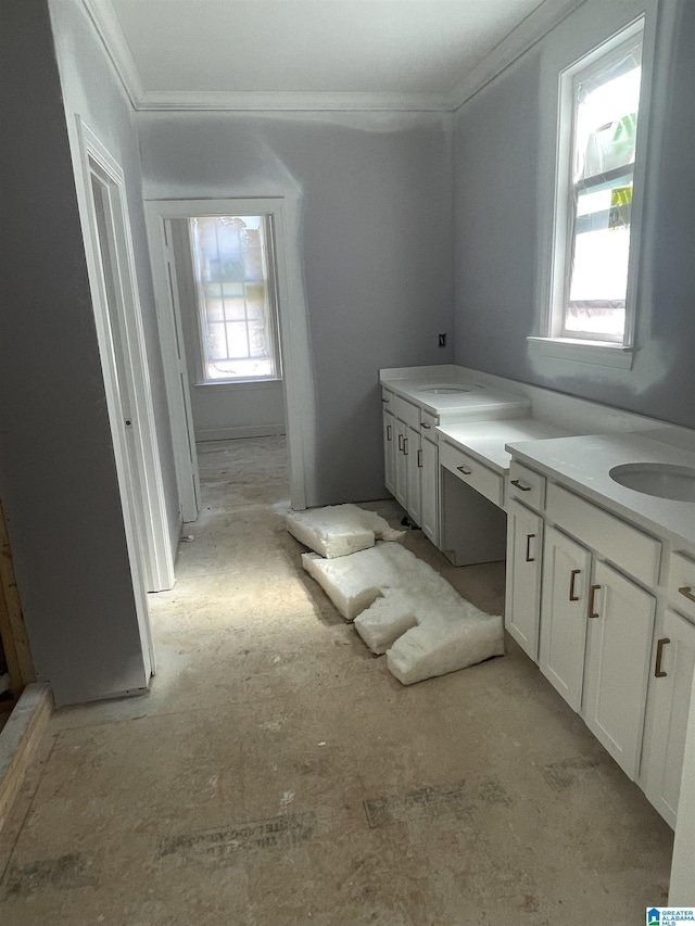 bathroom featuring crown molding and a sink