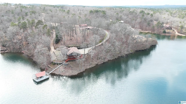 bird's eye view with a water view and a view of trees