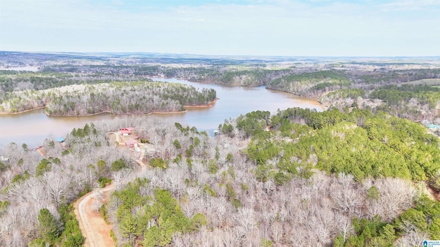 drone / aerial view featuring a water view and a wooded view