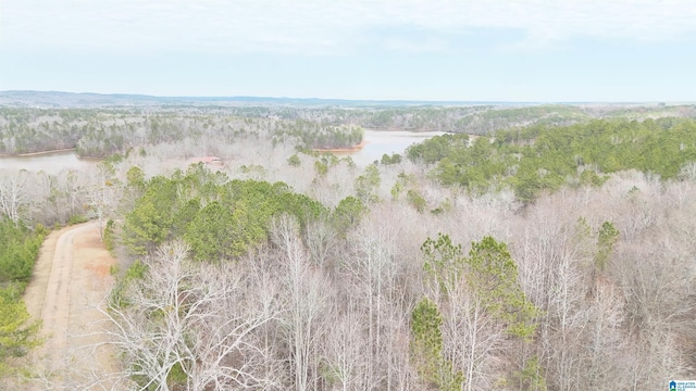 birds eye view of property with a water view and a view of trees