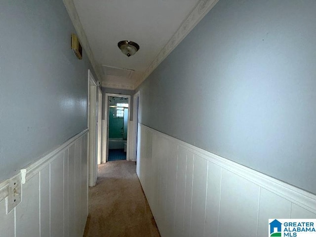 hallway featuring attic access, ornamental molding, light colored carpet, and wainscoting