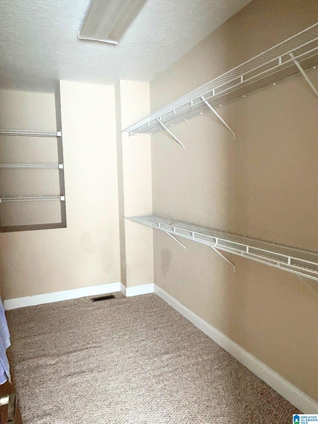 walk in closet featuring carpet and visible vents