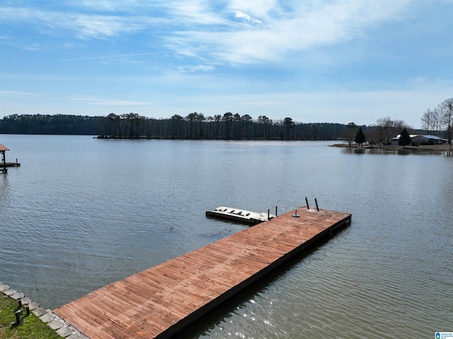 dock area featuring a water view