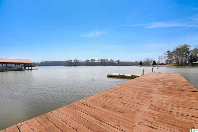 dock area with a water view