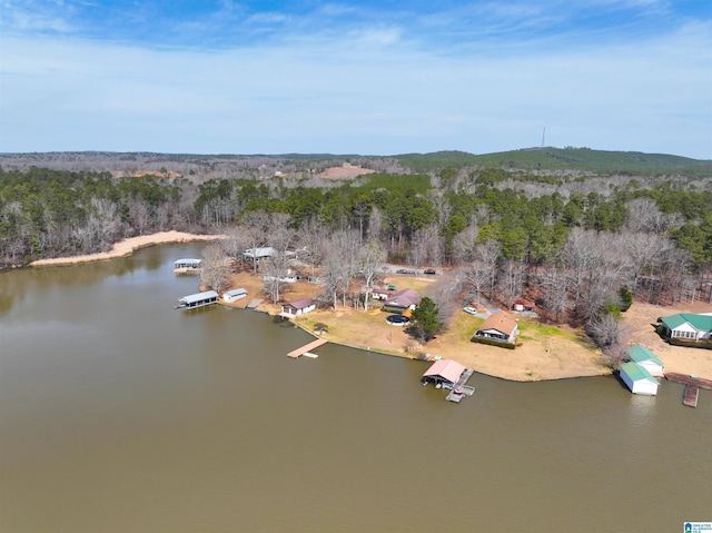 drone / aerial view featuring a water view and a view of trees