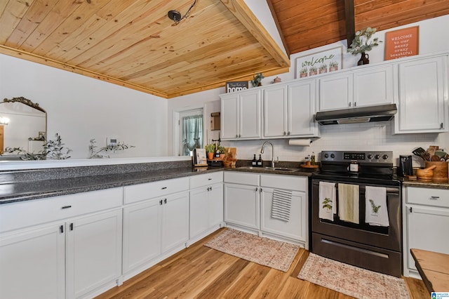 kitchen featuring wood ceiling, range with electric stovetop, under cabinet range hood, and a sink