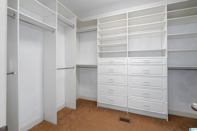 spacious closet with light colored carpet and visible vents