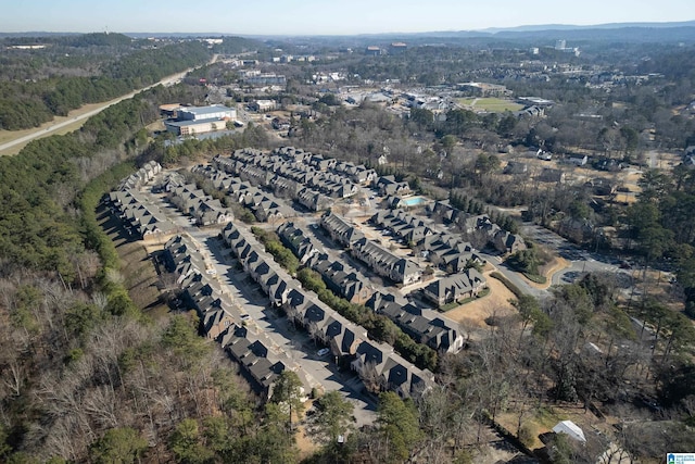 bird's eye view