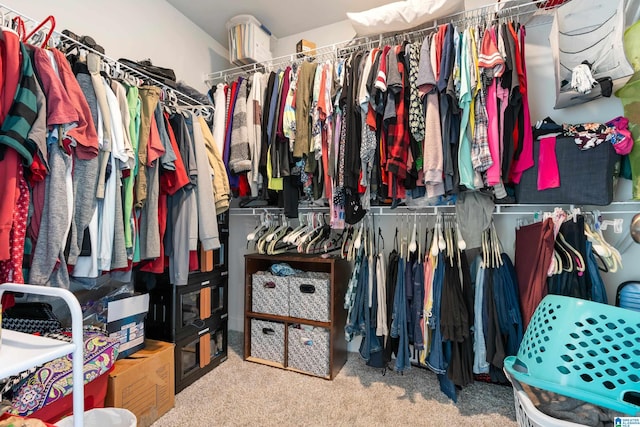 spacious closet with carpet floors