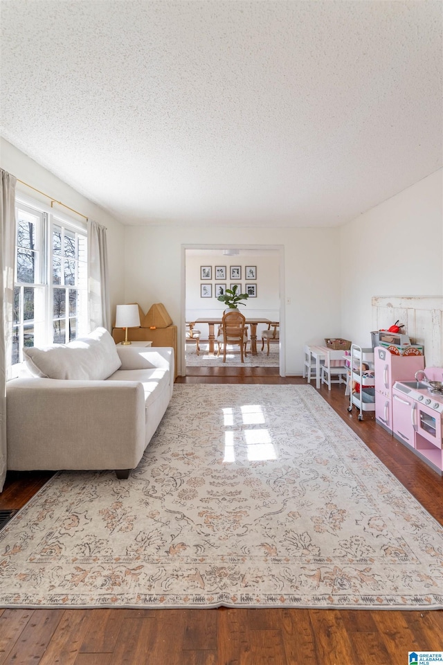 living room featuring a textured ceiling and wood finished floors