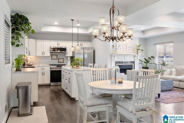 kitchen featuring a raised ceiling, appliances with stainless steel finishes, open floor plan, pendant lighting, and a high end fireplace