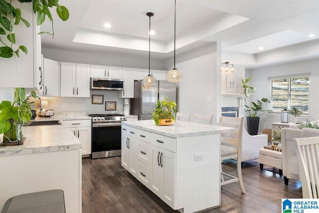 kitchen featuring white cabinets, a raised ceiling, open floor plan, decorative light fixtures, and stainless steel appliances