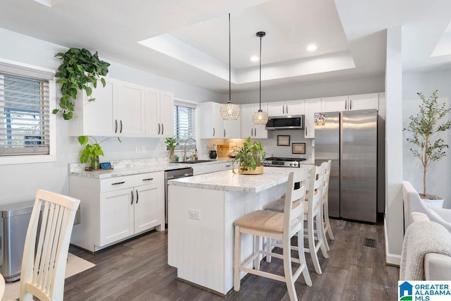 kitchen with white cabinets, a kitchen island, hanging light fixtures, a tray ceiling, and stainless steel appliances