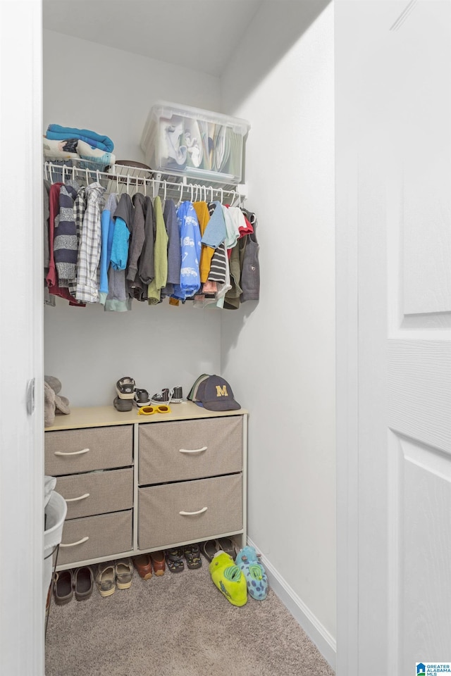 spacious closet featuring carpet