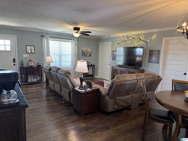 living area with dark wood-style floors, a textured ceiling, and crown molding