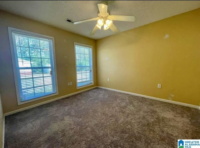 171 Alabaster Dr, Winfield, AL 35594 - empty room featuring carpet, visible vents, a textured ceiling, and baseboards