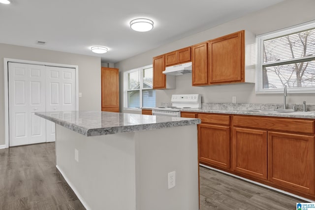 kitchen with white electric range, a sink, under cabinet range hood, and wood finished floors