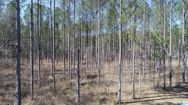 view of landscape