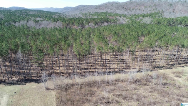 view of mountain feature featuring a forest view