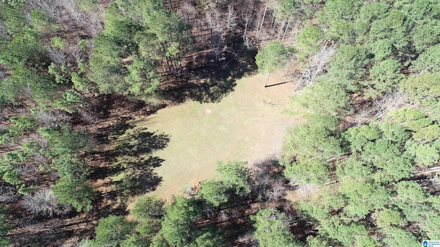 drone / aerial view featuring a forest view