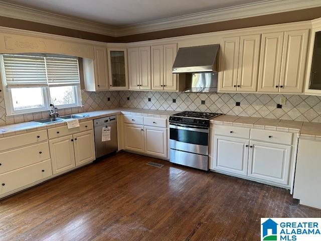 kitchen featuring a sink, appliances with stainless steel finishes, ventilation hood, tile counters, and dark wood-style floors