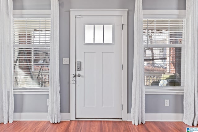 entrance foyer with baseboards and wood finished floors