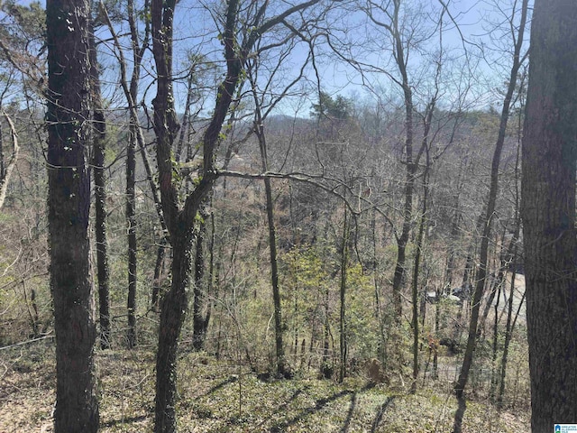 view of nature featuring a forest view