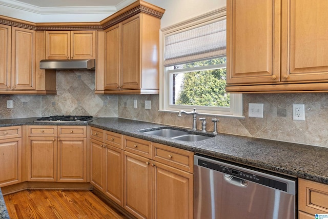 kitchen with under cabinet range hood, stainless steel appliances, a sink, light wood-type flooring, and tasteful backsplash