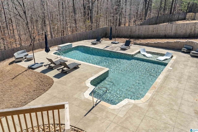 view of swimming pool featuring a patio area, a fenced backyard, and a fenced in pool