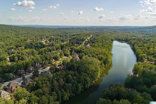 aerial view featuring a water view and a forest view