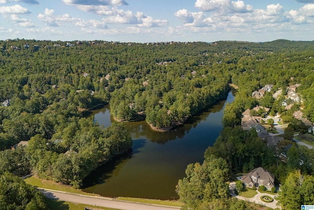 bird's eye view with a water view and a forest view