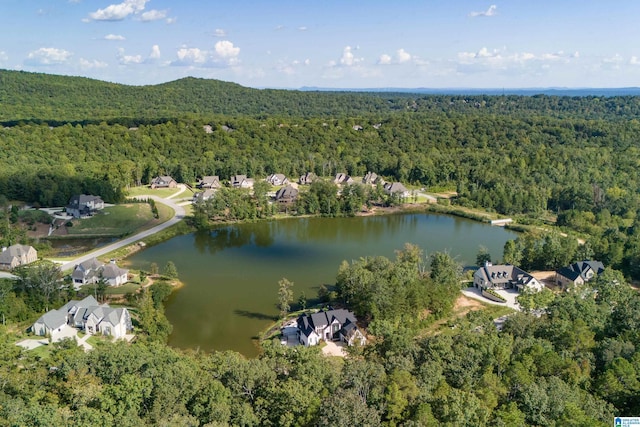 birds eye view of property with a water view and a wooded view