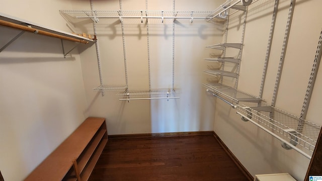 walk in closet featuring dark wood finished floors