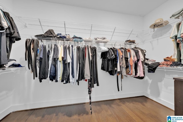 spacious closet featuring wood finished floors