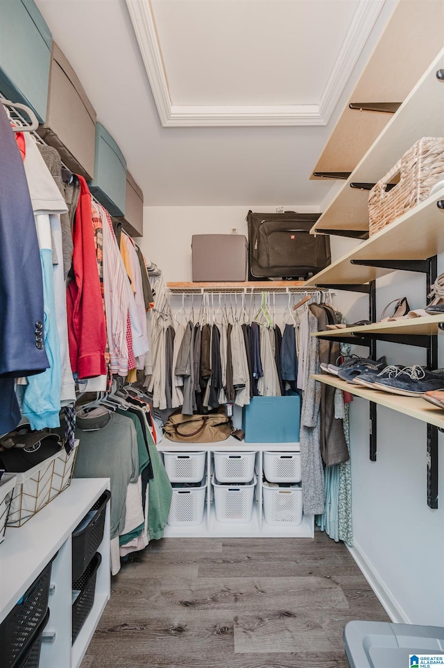 walk in closet with wood finished floors