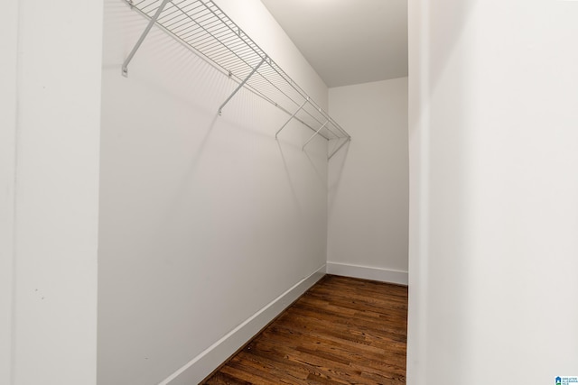 walk in closet with dark wood-style floors