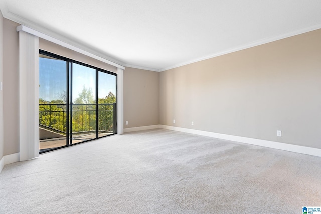 carpeted empty room with ornamental molding and baseboards