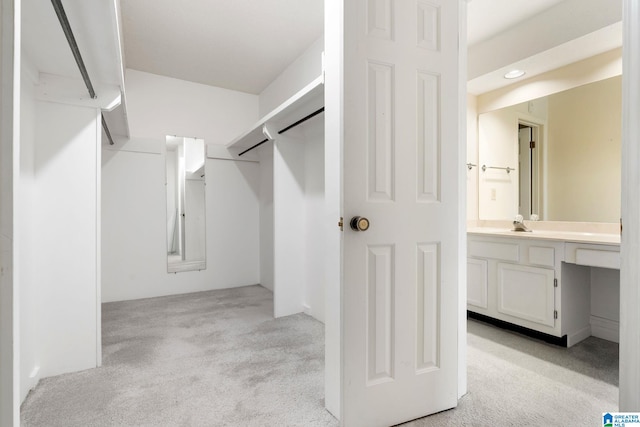 spacious closet with light carpet and built in study area