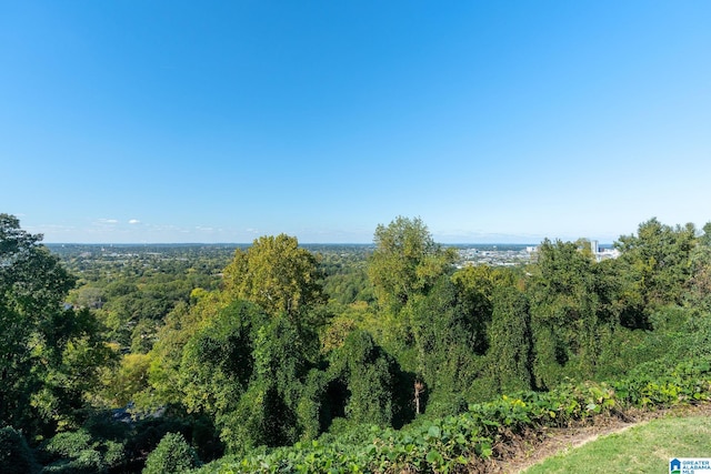 view of local wilderness featuring a wooded view