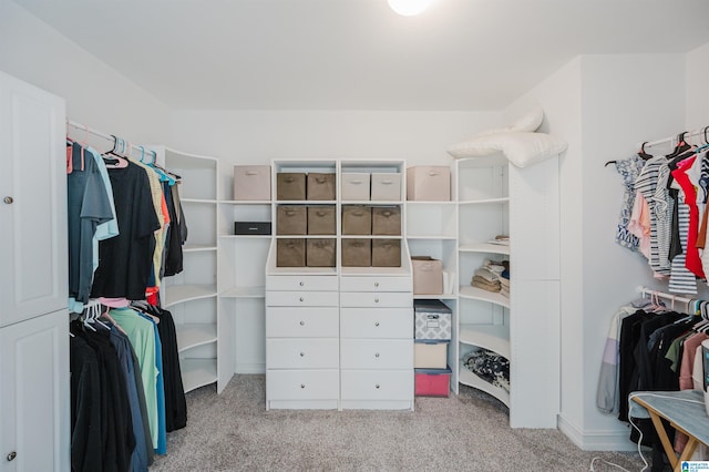 spacious closet with carpet