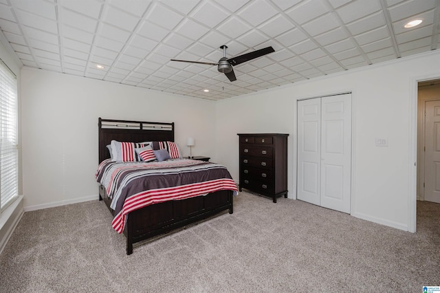 carpeted bedroom featuring ceiling fan, baseboards, a drop ceiling, and recessed lighting