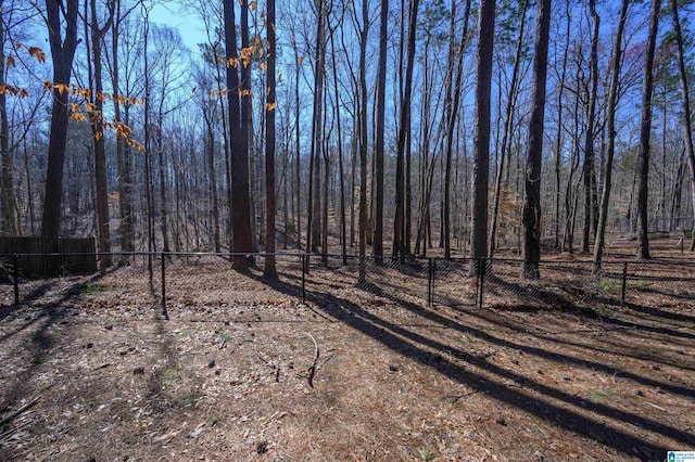 view of nature with a forest view