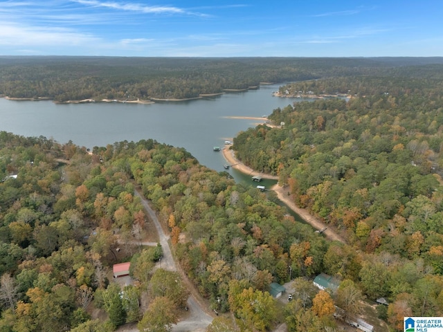 drone / aerial view featuring a water view and a view of trees