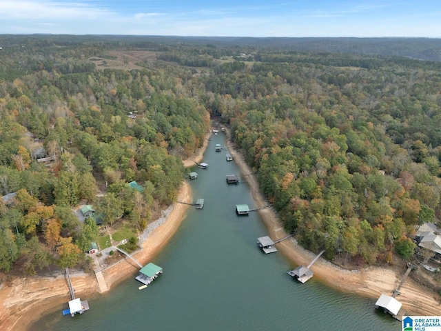 birds eye view of property with a water view and a view of trees