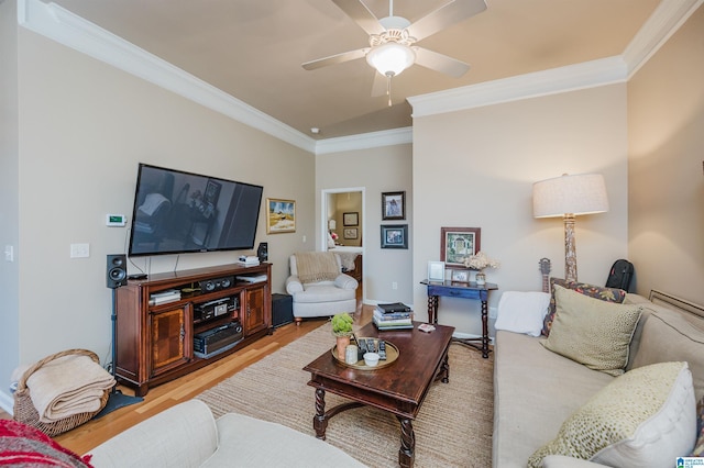 living area featuring ornamental molding, ceiling fan, and light wood finished floors