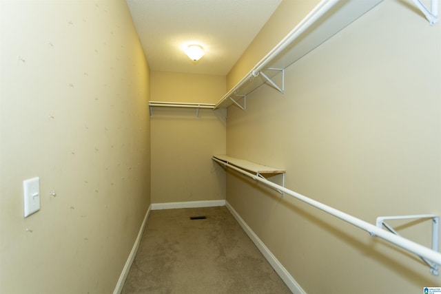 spacious closet featuring carpet flooring