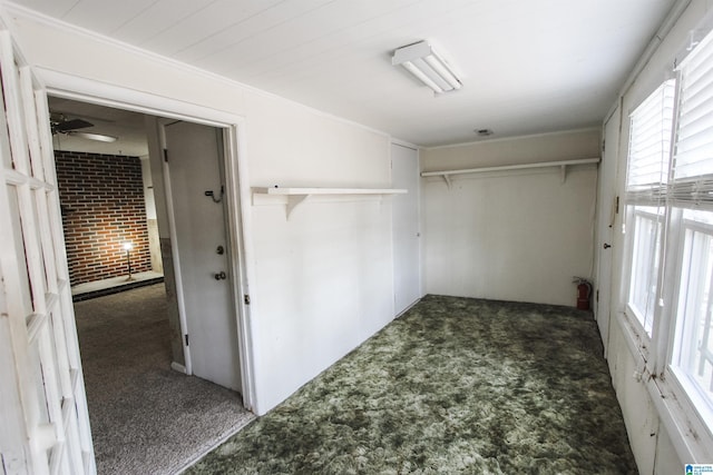 walk in closet featuring carpet