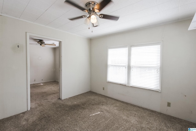 carpeted spare room with ceiling fan and ornamental molding