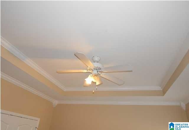 interior details featuring ceiling fan, ornamental molding, and a raised ceiling